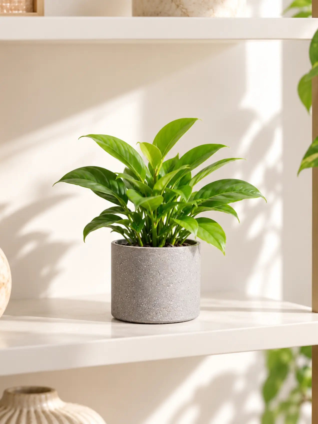 Cylinder Base Fiber Pot | Grey | 14 cm