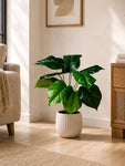 Artificial Philodendron Plant | Green Leaves | 50 cm | 12 Leaves | With Basic Pot