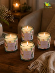 Scented Candle Glass Jar | Jasmine Blossom | 6 cm | Set of 4