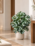 Artificial Monstera Plant | Green-Grey Leaves | 65 cm | 18 Leaves | With Basic Pot