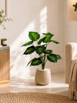 Artificial Philodendron Plant | Green & Yellow Leaves | 65 cm | 18 Leaves | With Basic Pot