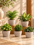 Decorative Pots | Light Brown | 15 cm | Set of 5