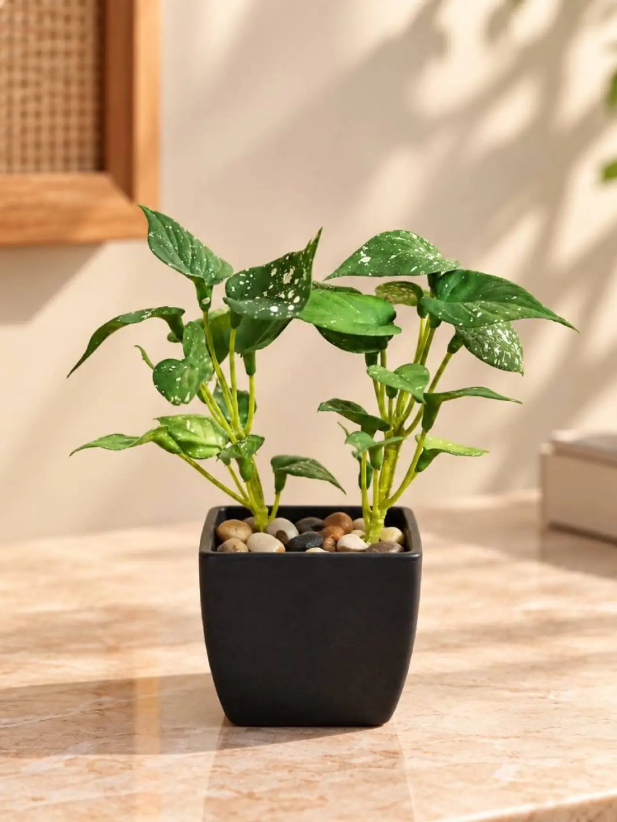 Artificial Money Plant Succulent | Small Green Leaves | 18 cm | With Basic Black Pot