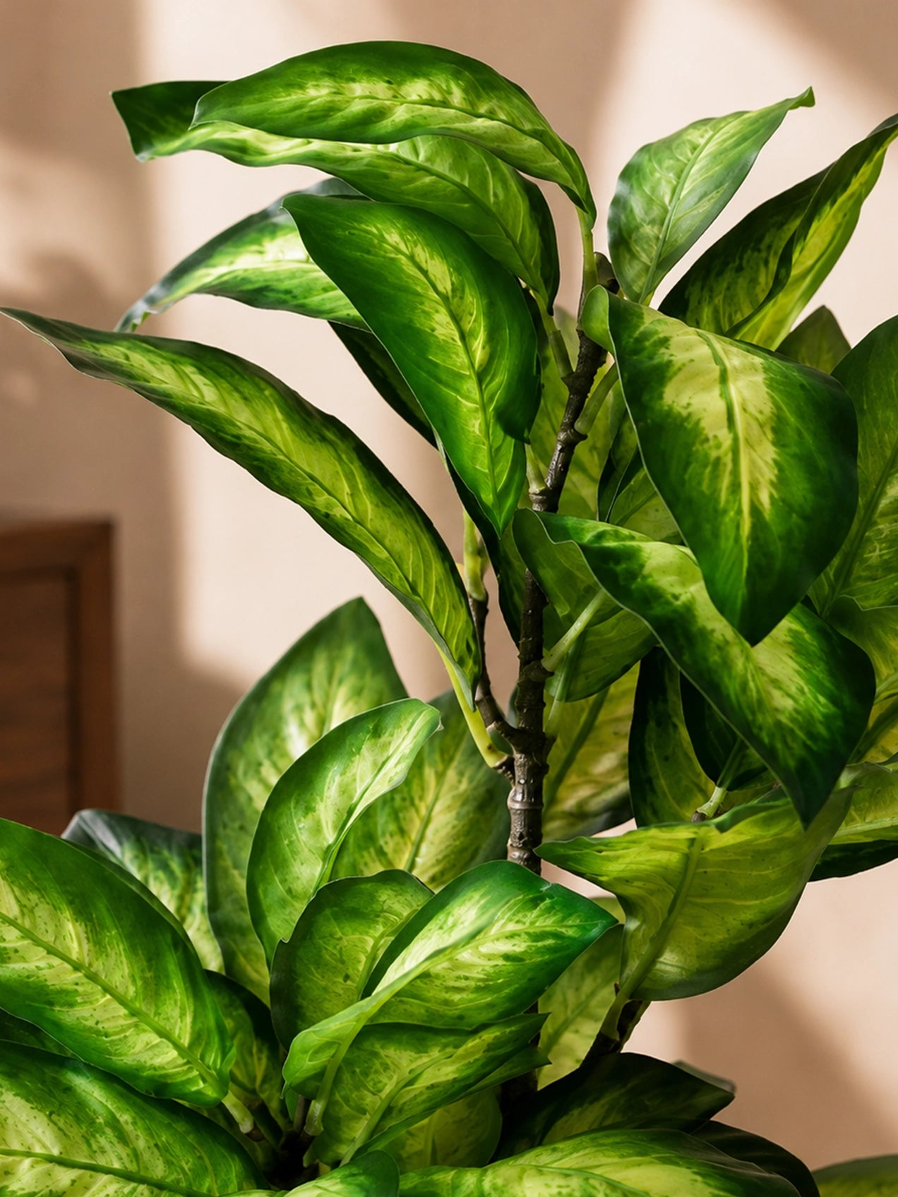 Artificial Dieffenbachia Seguine Plant | 66 cm | 15 Leaves | With Basic Pot