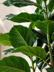 Artificial Jungle Velvet Plant | 90 cm | 33 Leaves | With Basic Pot