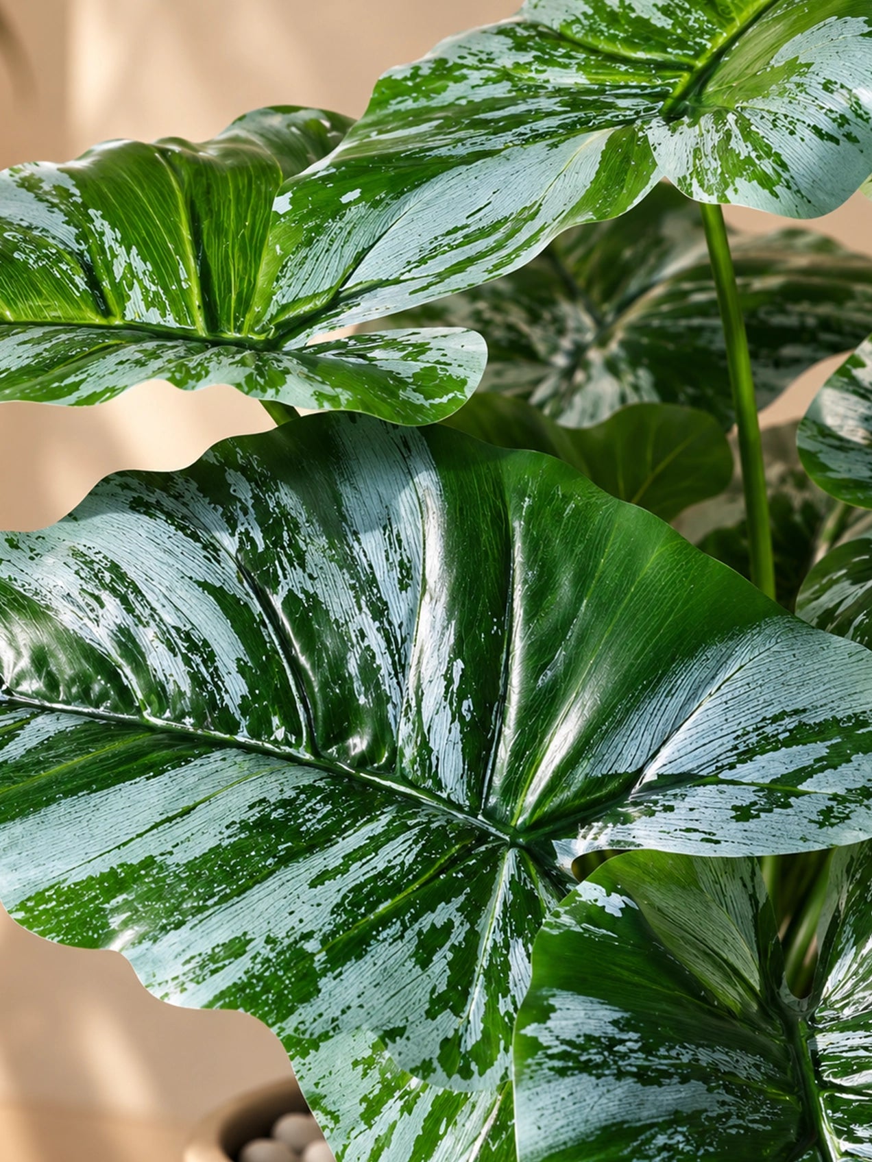 Artificial Caladium Plant | Green & White Leaves | 52 cm | 12 Leaves | With Basic Pot