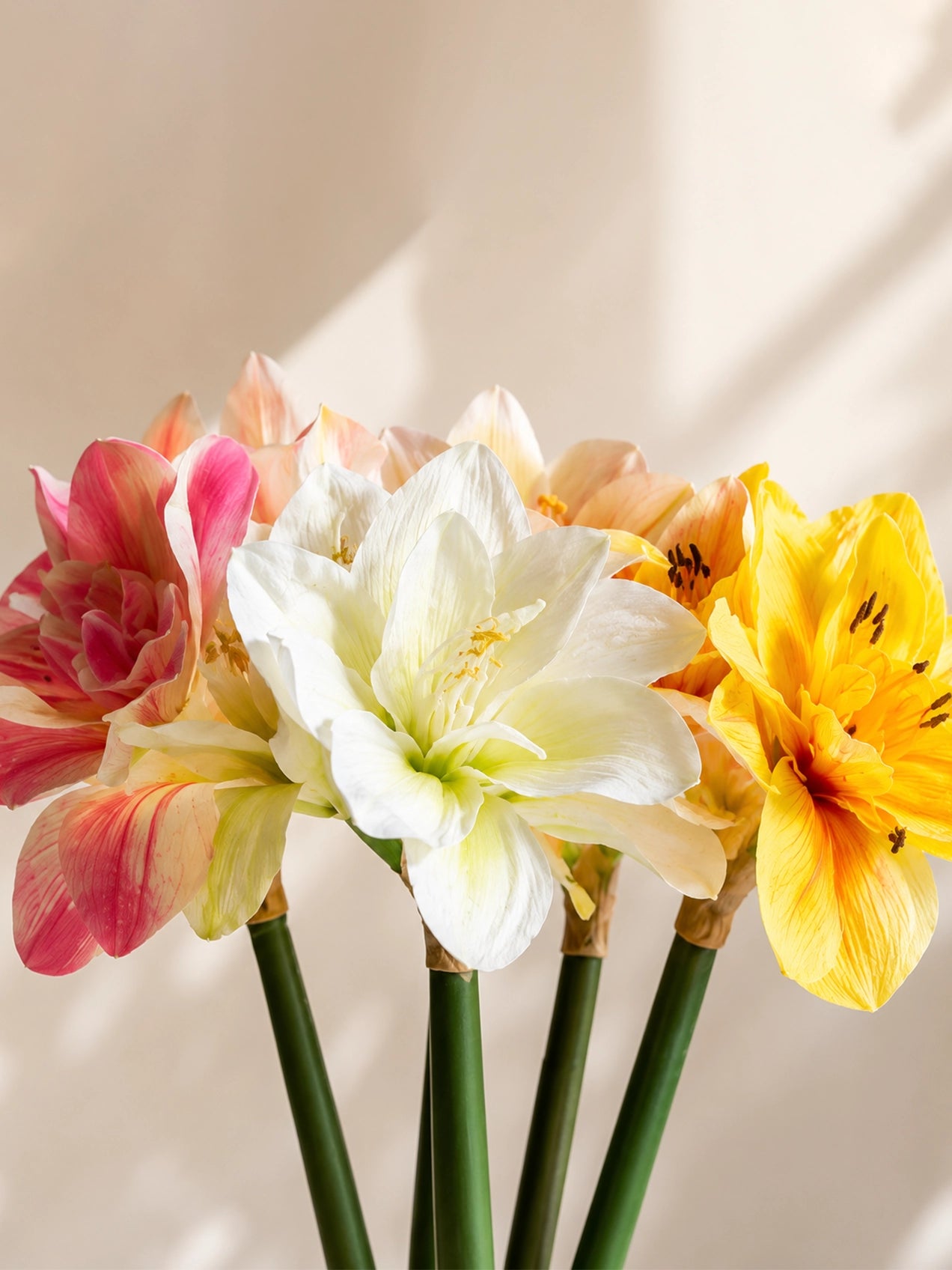 Artificial Amaryllis Splendor | Mixed Bunch | 62 cm