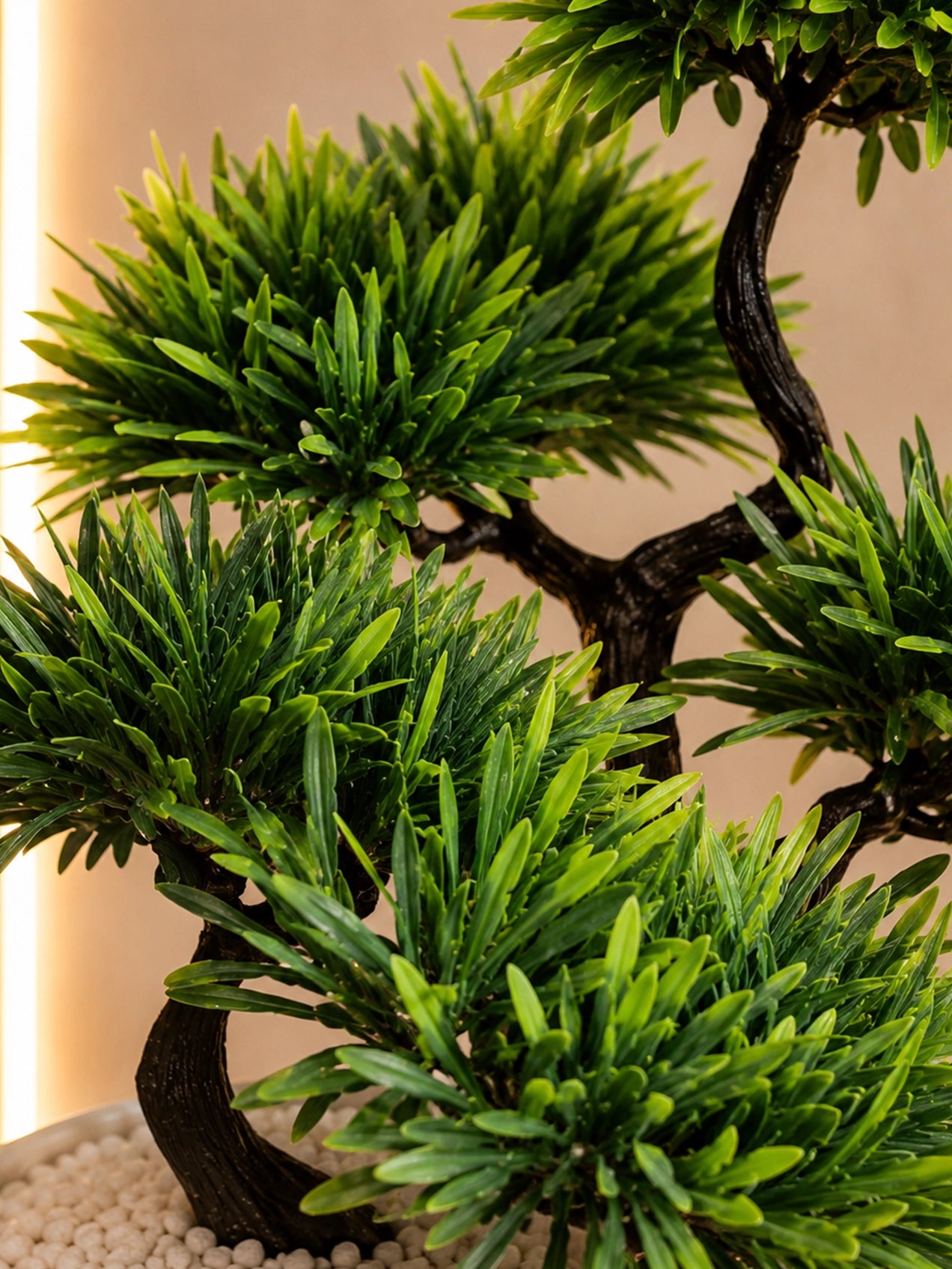Bonsai Plant | 43 cm | With Black Pot