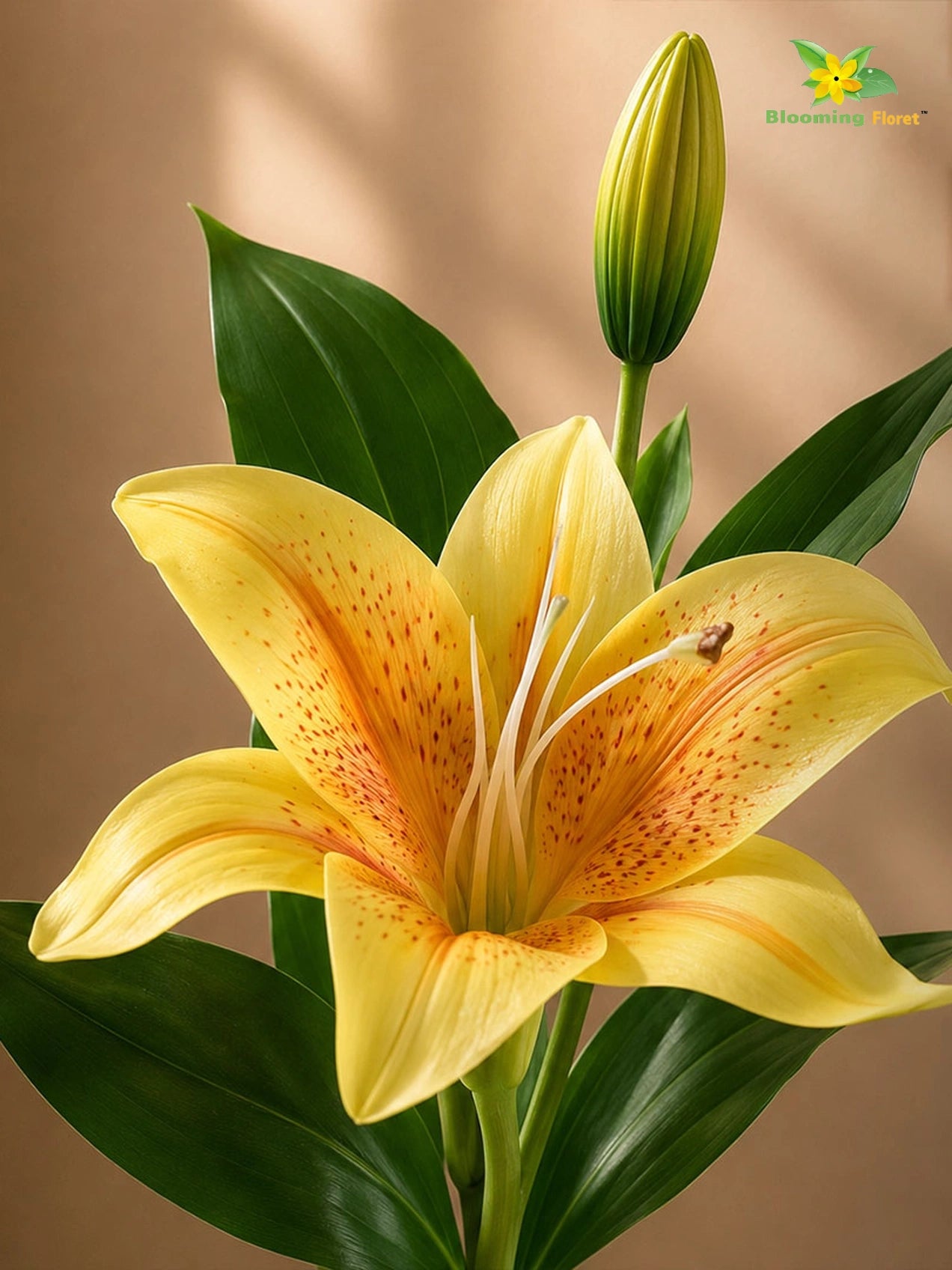 Artificial Lily Flower Stick | Yellow | 35 cm | Set of 2