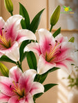 Artificial Lily Flower Stick | White & Dark Pink | 78 cm