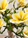 Mini Magnolia Flower Tree | Green | 52 cm