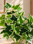 Ivory Elegance Artificial Bettina Ivy Plant | 45 cm | With Basic Pot