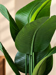 Artificial Banana Plant | 109 cm | 3 Stem | 7 Leaves | With Basic Pot