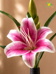 Artificial Lily Flower Stick | Dark Pink | 35 cm | Set of 2