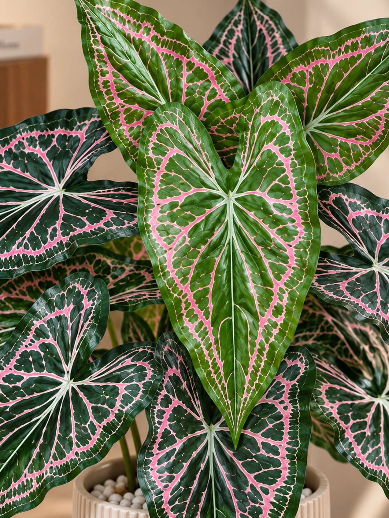 Artificial Web-Pattern Caladium Plant | 62 cm | 12 Leaves | With Basic Pot