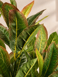 Artificial Croton Leaf Bunch Plant | 50 cm | 72 Leaves | With Basic Pot