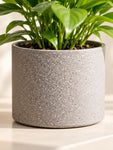 Cylinder Base Fiber Pot | Grey | 14 cm