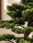 Premium Artificial Bonsai Plant | 88 cm | With Basic Pot