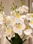 Orchid Bunch | White | 44 cm