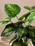 Artificial Philodendron Plant | Green & Yellow Leaves | 65 cm | 18 Leaves | With Basic Pot