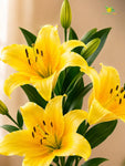 Artificial Lily Flower Stick | Yellow | 78 cm