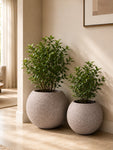 Textured Grey Planter Set | Set of 2