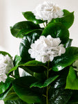 Artificial Hydrangea Flower Bunch | White | 75 cm