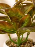 Artificial Tabletop Plant | Light Green | 22 cm