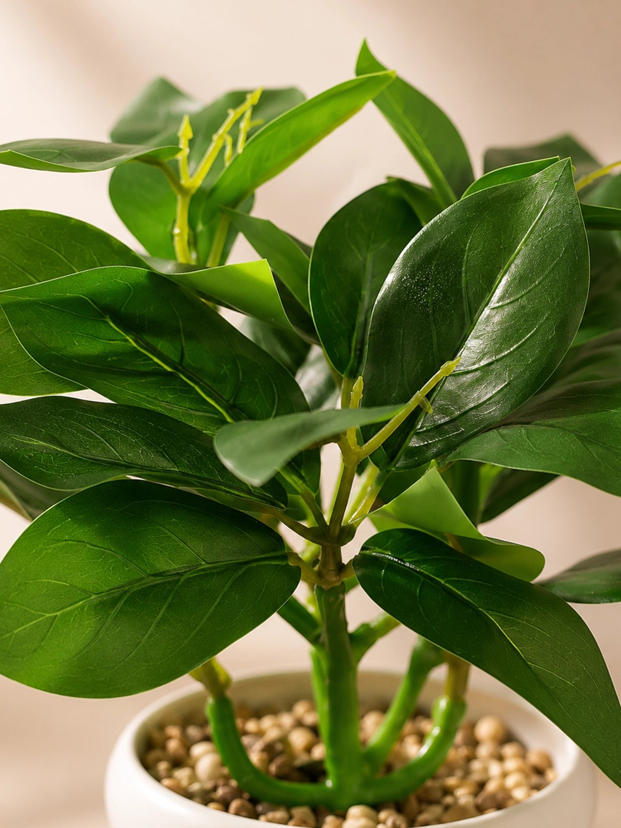 Artificial Tabletop Plant | Green | 22 cm