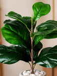 Artificial Fiddle-Leaf Fig Plant | Green Mix Leaves | 50 cm | 11 Leaves | With Basic Black Pot