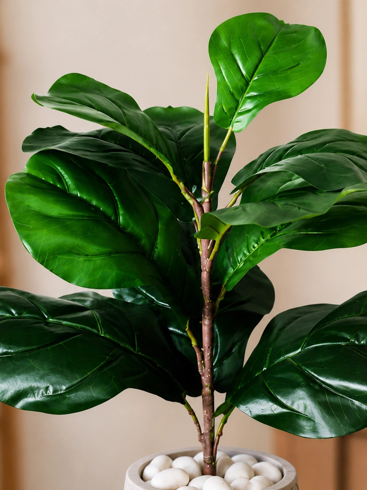 Artificial Fiddle-Leaf Fig Plant | Green Mix Leaves | 50 cm | 11 Leaves | With Basic Black Pot