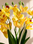 Artificial Cymbidium Orchid Flower Bunch | Yellow | 57 cm