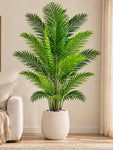 Artificial Areca Palm Plant | 210 cm | 21 Leaves | With Basic Pot