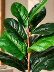 Artificial Fiddle-Leaf Fig Plant | Green Mix Leaves | 50 cm | 11 Leaves | With Basic Pot