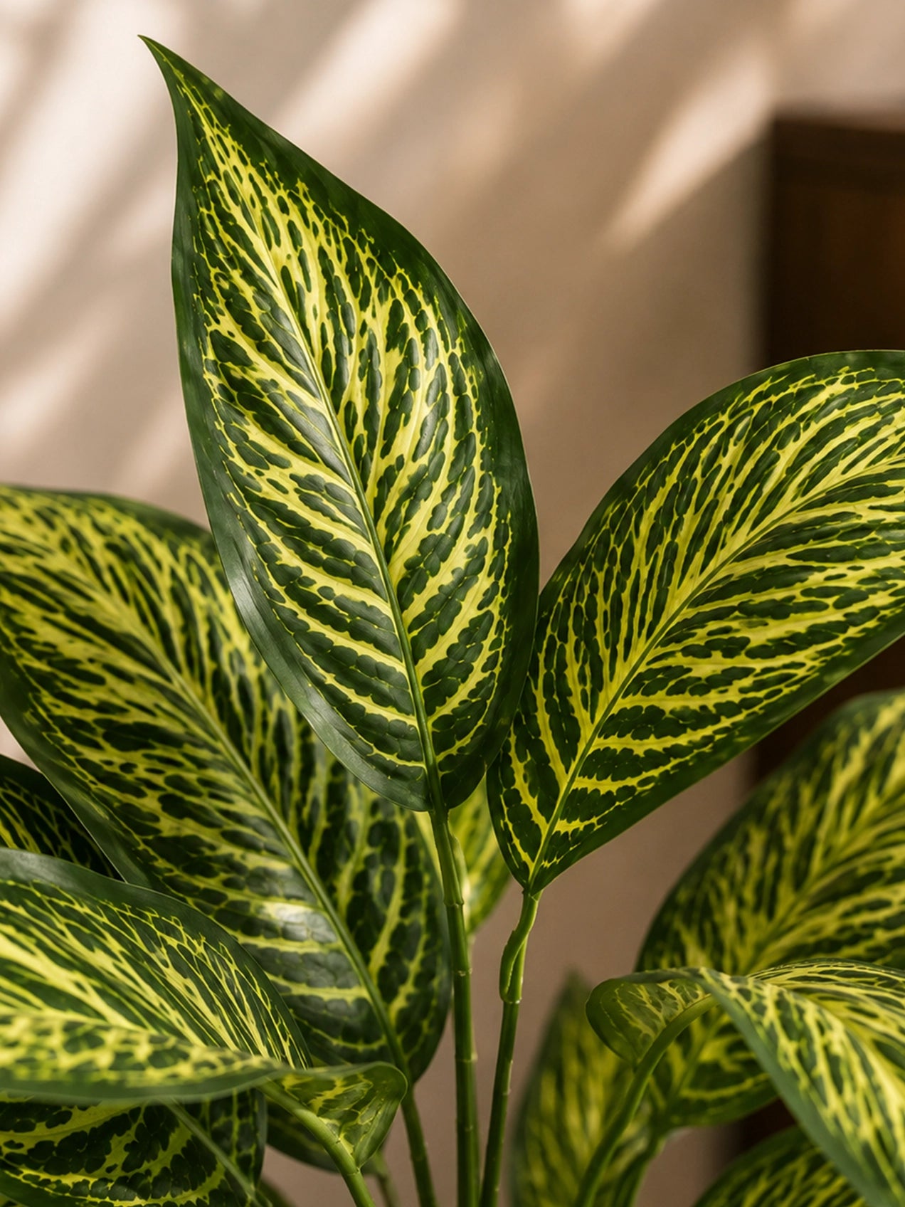 Artificial Ivory White Croton Plant | 74 cm | 26 Leaves | With Basic Pot