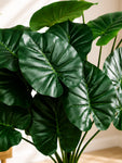Artificial Philodendron Plant | Dark Green Leaves | 65 cm | 18 Leaves | With Basic Pot