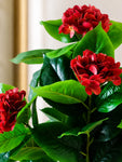 Artificial Hydrangea Flower Bunch | Red | 72 cm