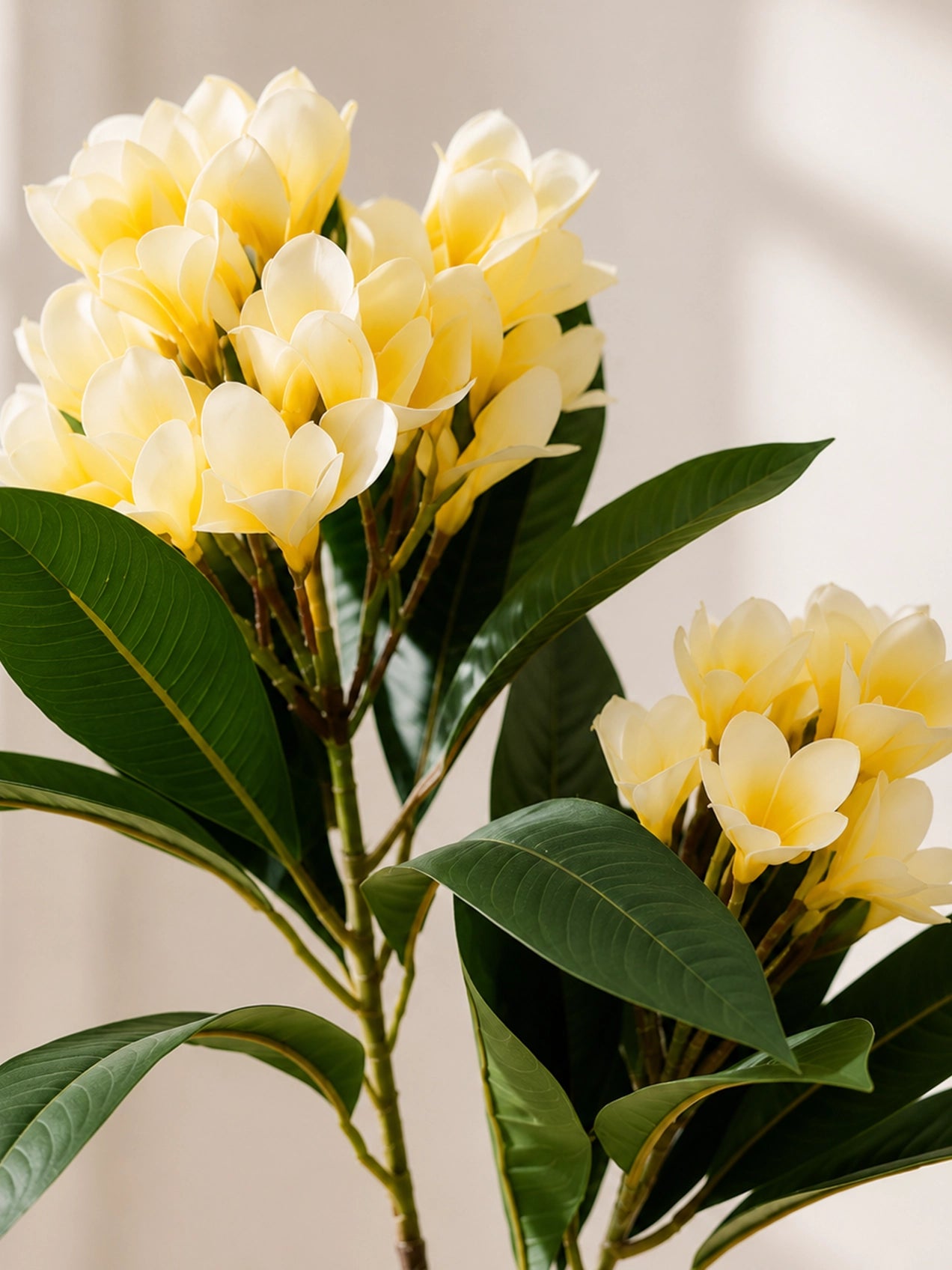 Frangipani Flower Stick | White | 84 cm