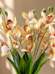 Artificial Cymbidium Orchid Flower Bunch | Peach | 57 cm