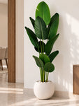 Artificial Banana Leaf Plant | 220 cm | With Basic Pot