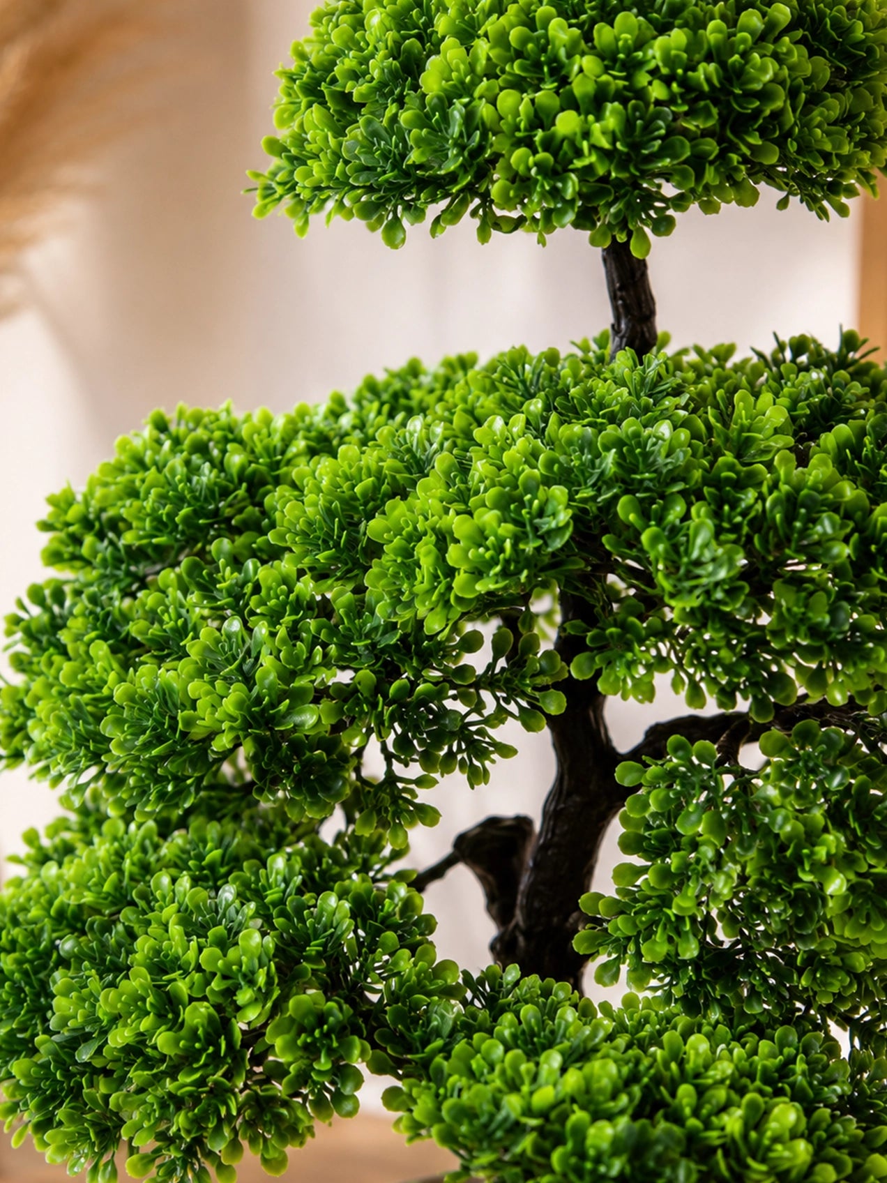Bonsai Plant | 43 cm | Small Leaves | With Black Pot