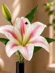 Artificial Lily Flower Stick | White & Light Pink | 35 cm | Set of 2