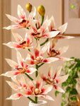 Orchid Flower Stick | White and Pink | 73 cm