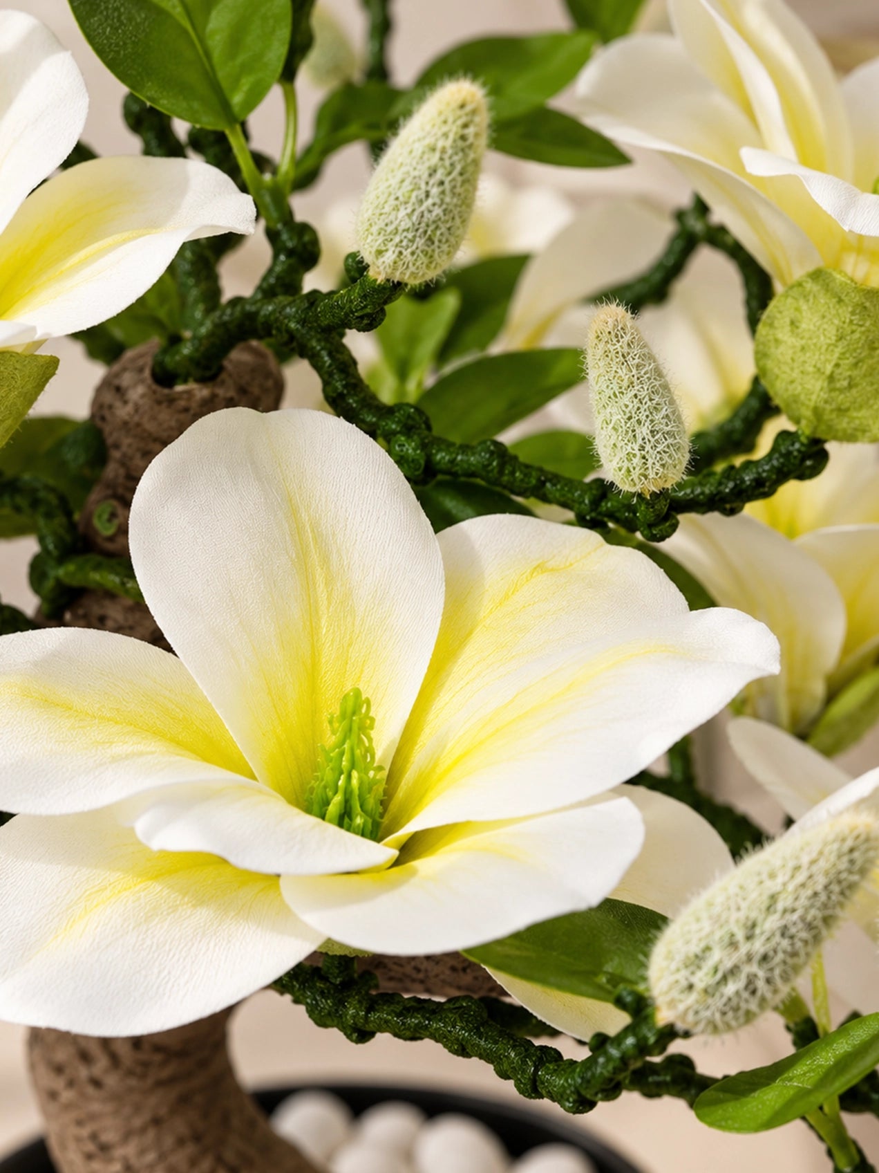 Mini Magnolia Flower Tree | White & Green | 52 cm
