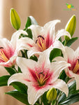Artificial Lily Flower Stick | Pink & White | 78 cm