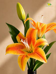 Artificial Lily Flower Stick | Orange | 35 cm | Set of 2