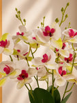 Orchid Bunch | Off-White | 44 cm