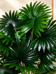 Artificial Fan Palm Plant | Patterned Green Leaves | 75 cm | 18 Leaves | With Basic Pot