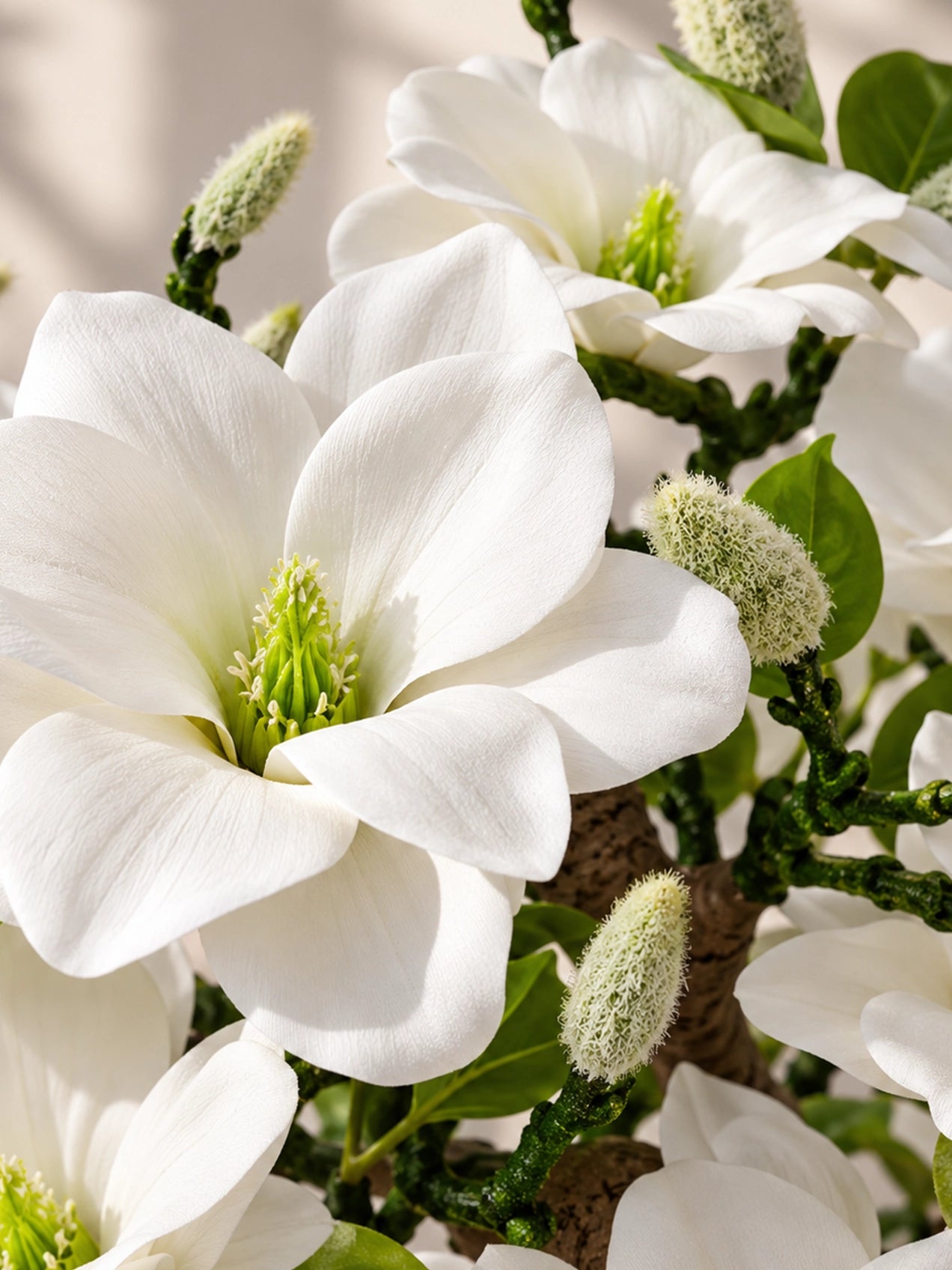 Mini Magnolia Flower Tree | White | 52 cm