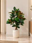 Artificial Croton Tree Plant | Green Leaves | 110 cm | With Basic Pot